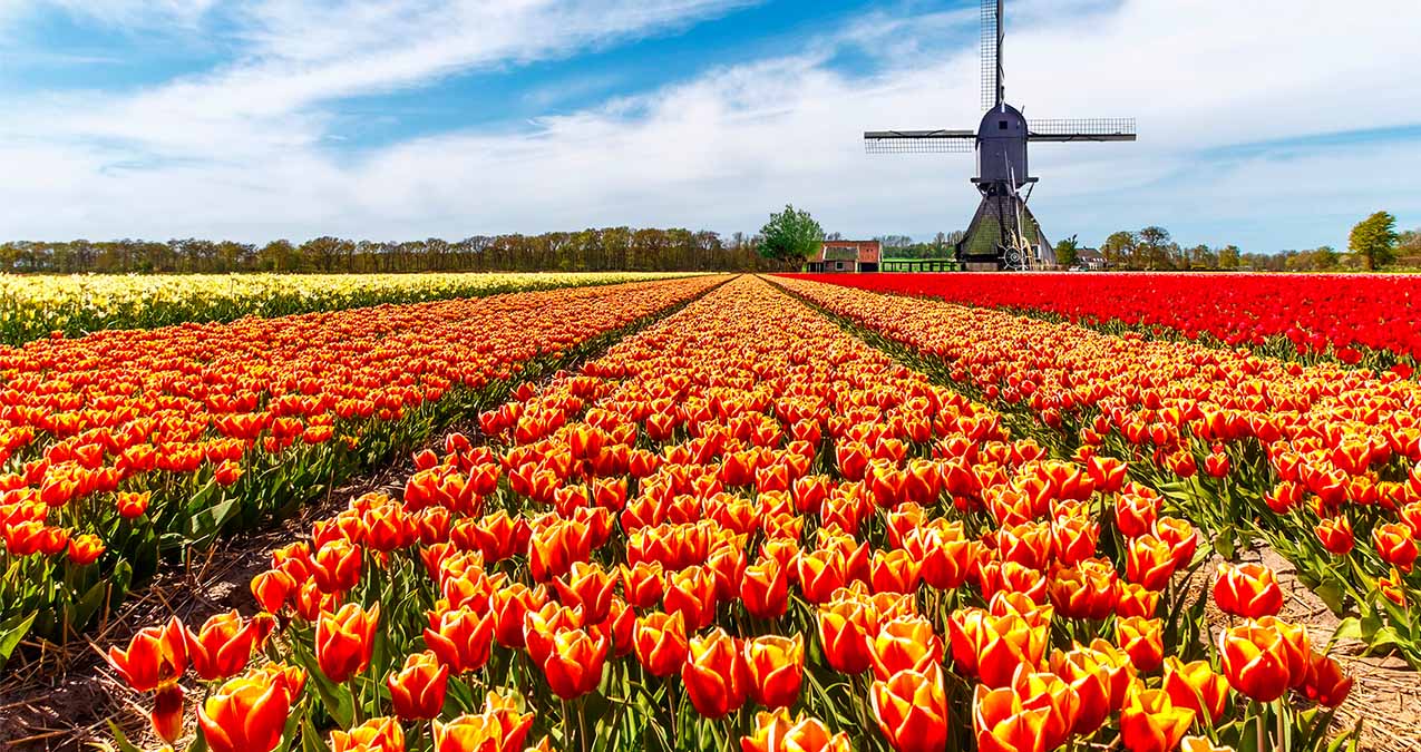 Jardines de Cataluña y Europa 1 Visita jardins amb el guiatge de Jarditours