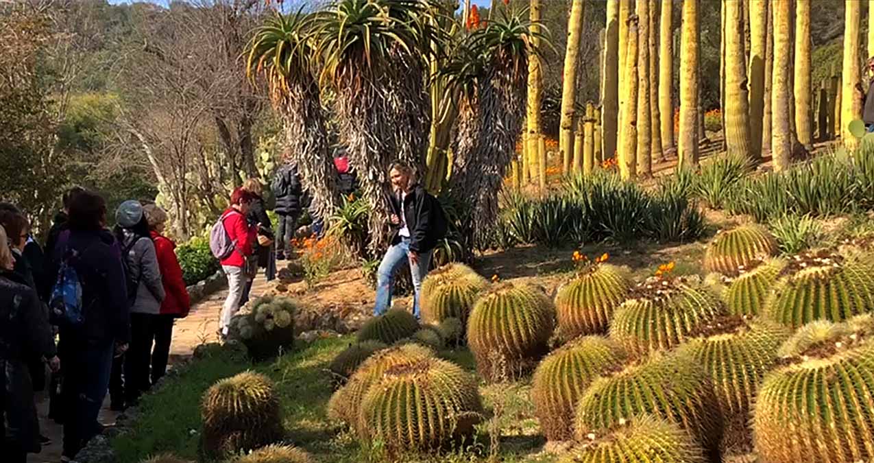 Jardines de Cataluña y Europa 3 Jardi botanic Barcelona
