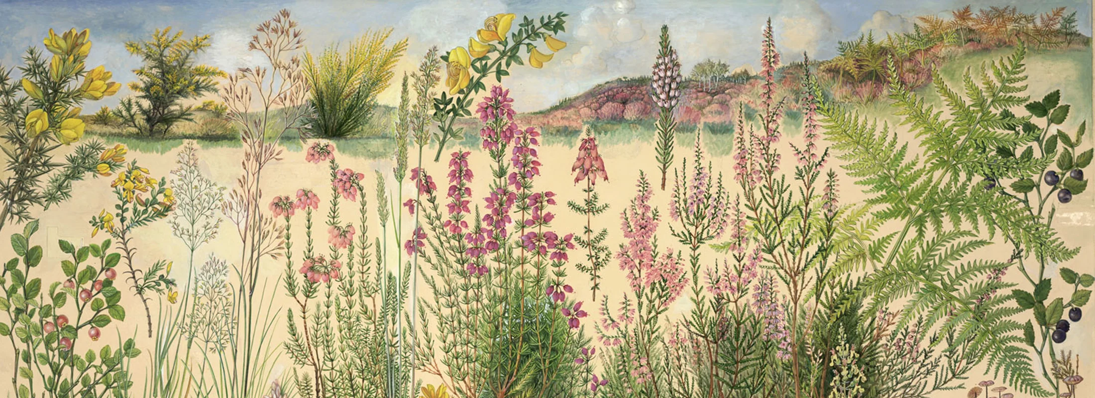 Dones i jardins | Una altra manera d'explicar la història dels jardins